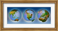 Framed Close-up of three globes