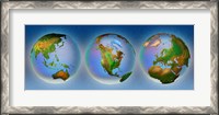 Framed Close-up of three globes