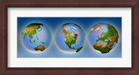 Framed Close-up of three globes