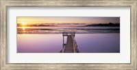 Framed High angle view of a pier on a river, Pounawea, The Catlins, South Island New Zealand, New Zealand