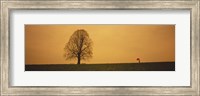 Framed Man standing with an umbrella near a tree, Baden-Wuerttemberg, Germany