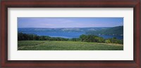 Framed High angle view of a vineyard near a lake, Keuka Lake, Finger Lakes, New York State, USA