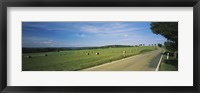 Framed Hay Bales in a Field, Germany