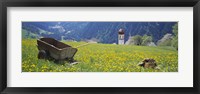 Framed Wheelbarrow in a field, Austria