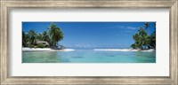 Framed Palm trees on the beach, Tikehau, French Polynesia