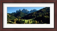 Framed Trees on a landscape, Dolomites, Funes Valley, Le Odle, Santa Maddalena, Tyrol, Italy