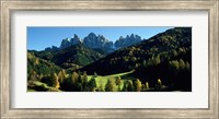 Framed Trees on a landscape, Dolomites, Funes Valley, Le Odle, Santa Maddalena, Tyrol, Italy