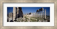 Framed Old ruins on a landscape, Cardo Maximus, Apamea, Syria