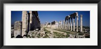 Framed Old ruins on a landscape, Cardo Maximus, Apamea, Syria