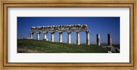 Framed Columns on a landscape, Apamea, Syria