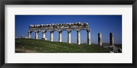 Framed Columns on a landscape, Apamea, Syria