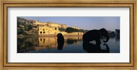 Framed Silhouette of two elephants in a river, Amber Fort, Jaipur, Rajasthan, India
