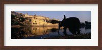 Framed Side profile of a man sitting on an elephant, Amber Fort, Jaipur, Rajasthan, India
