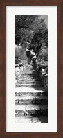 Framed Low angle view of steps in a garden, Neptune's Steps, Tresco Abbey Garden, Tresco, Isles Of Scilly, England