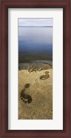 Framed High angle view of wet footprints on a rock, Lake Pielinen, Lieksa, Finland