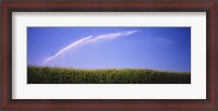 Framed Water being sprayed on a corn field, Washington State, USA