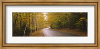 Framed Road passing through a forest, Park Loop Road, Acadia National Park, Mount Desert Island, Maine, USA