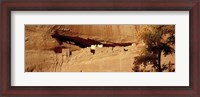 Framed Tree in front of the ruins of cliff dwellings, White House Ruins, Canyon de Chelly National Monument, Arizona, USA