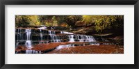 Framed Waterfall in a forest, North Creek, Zion National Park, Utah, USA