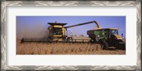 Framed Combine harvesting soybeans in a field, Minnesota