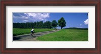 Framed Rear view of a person riding a bicycle on the road, Black Forest, Germany