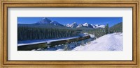 Framed Train Traveling through Banff National Park