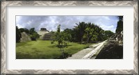 Framed Old ruins of a temple in a forest, Xunantunich, Belize