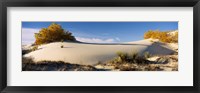 Framed Desert plants in White Sands National Monument, New Mexico