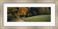 Framed Group of people walking on a walkway in a park, St. Peter, Black Forest, Baden-Wurttemberg, Germany