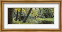 Framed Trees near a pond in a park, Vondelpark, Amsterdam, Netherlands