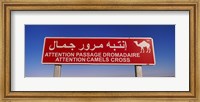 Framed Low angle view of a camel crossing signboard, Douz, Tunisia