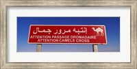Framed Low angle view of a camel crossing signboard, Douz, Tunisia