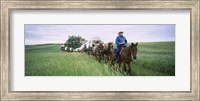 Framed Historical reenactment of covered wagons in a field, North Dakota, USA