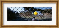 Framed Close-up of a tennis ball stuck in a fence, San Francisco, California, USA