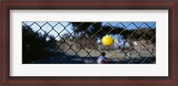 Framed Close-up of a tennis ball stuck in a fence, San Francisco, California, USA