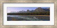 Framed Trees along a river with a mountain range in the background, Athabasca River, Jasper National Park, Alberta, Canada