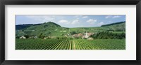 Framed Vineyards near a village, Oberbergen, Der Vogelsangpass, Bereich Kaiserstuhl, Baden-Wurttemberg, Germany