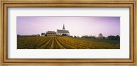 Framed Vineyard with a church in the background, Hochheim, Rheingau, Germany