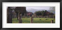 Framed Ancient Olympia, Olympic Site, Greece