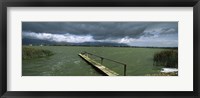 Framed Pier on the lake, Zeekoevlei Lake, Cape Town, Western Cape Province, South Africa