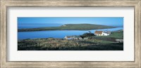 Framed High angle view of cottages at the coast, Allihies, County Cork, Munster Province, Republic of Ireland