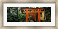 Framed Torii Gates in a park, Ueno Park, Taito, Tokyo Prefecture, Kanto Region, Japan