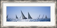 Framed Sailboats racing in the sea, Farr 40's race during Key West Race Week, Key West Florida, 2000