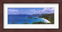 Framed Trees on the coast, Trunk Bay, Virgin Islands National Park, St. John, US Virgin Islands