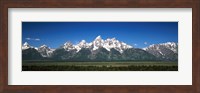 Framed Trees in a forest with mountains in the background, Teton Point Turnout, Teton Range, Grand Teton National Park, Wyoming, USA