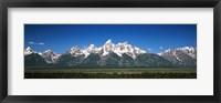 Framed Trees in a forest with mountains in the background, Teton Point Turnout, Teton Range, Grand Teton National Park, Wyoming, USA