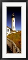Framed Lighthouse on a cliff, Pigeon Point Lighthouse, California, USA