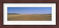 Framed Dirt road passing through a landscape, Masai Mara National Reserve, Great Rift Valley, Kenya