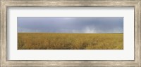 Framed Clouds over a meadow, Masai Mara National Reserve, Great Rift Valley, Kenya