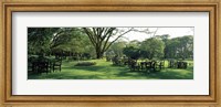 Framed Chairs and tables in a lawn, Lake Naivasha Country Club, Great Rift Valley, Kenya